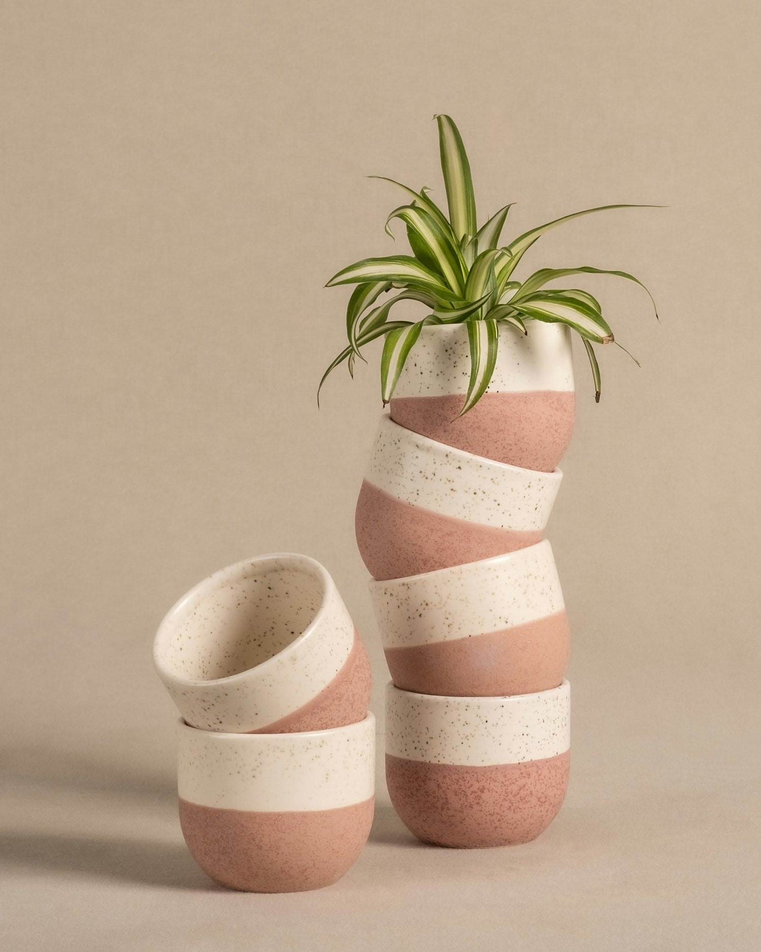 Planters & Pots