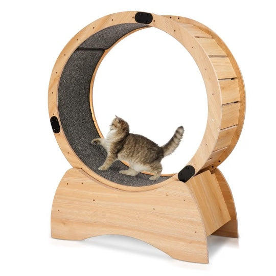 Cat Treadmill With Carpeted Runway, Kitty Cat Sport Toy